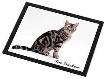 Silver Tabby Cat 