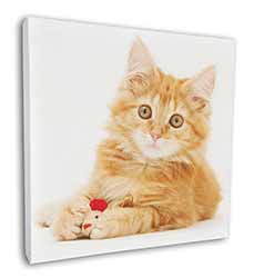 Fluffy Ginger Kitten Square Canvas 12"x12" Wall Art Picture Print