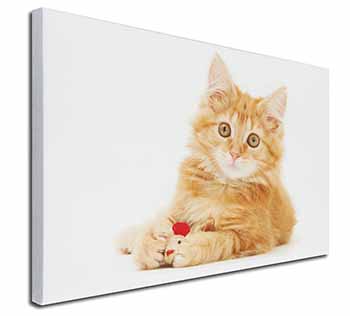 Fluffy Ginger Kitten Canvas X-Large 30"x20" Wall Art Print