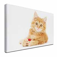 Fluffy Ginger Kitten Canvas X-Large 30"x20" Wall Art Print