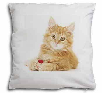Fluffy Ginger Kitten Soft White Velvet Feel Scatter Cushion