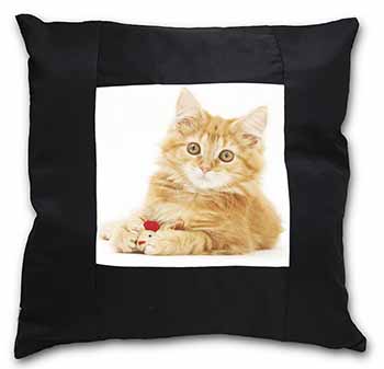 Fluffy Ginger Kitten Black Satin Feel Scatter Cushion