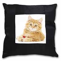 Fluffy Ginger Kitten Black Satin Feel Scatter Cushion