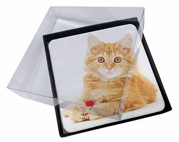 4x Fluffy Ginger Kitten Picture Table Coasters Set in Gift Box