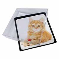 4x Fluffy Ginger Kitten Picture Table Coasters Set in Gift Box