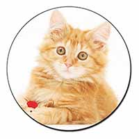 Fluffy Ginger Kitten Fridge Magnet Printed Full Colour