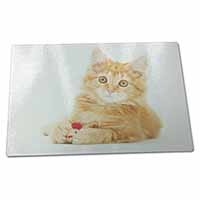 Large Glass Cutting Chopping Board Fluffy Ginger Kitten