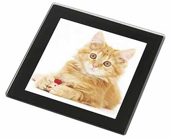 Fluffy Ginger Kitten Black Rim High Quality Glass Coaster