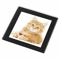 Fluffy Ginger Kitten Black Rim High Quality Glass Coaster