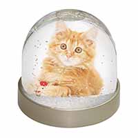 Fluffy Ginger Kitten Snow Globe Photo Waterball