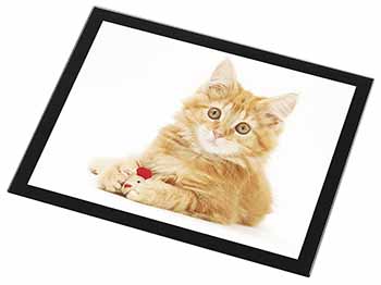 Fluffy Ginger Kitten Black Rim High Quality Glass Placemat