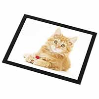 Fluffy Ginger Kitten Black Rim High Quality Glass Placemat