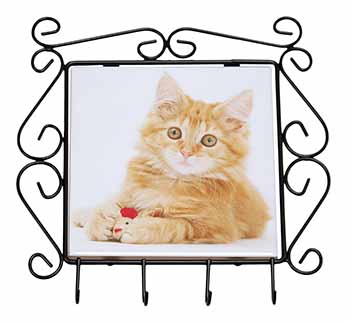 Fluffy Ginger Kitten Wrought Iron Key Holder Hooks