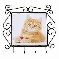 Fluffy Ginger Kitten Wrought Iron Key Holder Hooks