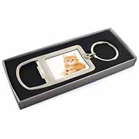 Fluffy Ginger Kitten Chrome Metal Bottle Opener Keyring in Box