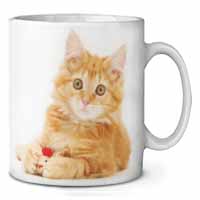 Fluffy Ginger Kitten Ceramic Coffee Mug/Tea Cup