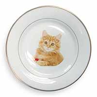 Fluffy Ginger Kitten Gold Rim Plate Printed Full Colour in Gift Box