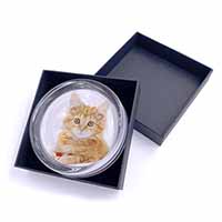 Fluffy Ginger Kitten Glass Paperweight in Gift Box