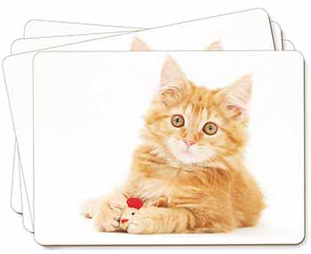 Fluffy Ginger Kitten Picture Placemats in Gift Box