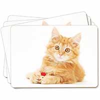 Fluffy Ginger Kitten Picture Placemats in Gift Box