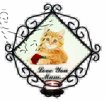 Ginger Cat with Rose 
