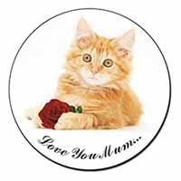 Ginger Cat with Rose 