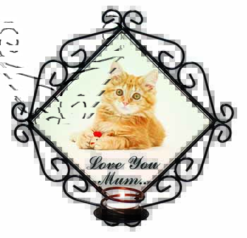 Ginger Kitten 