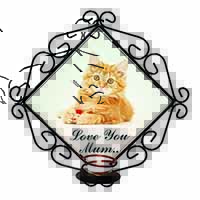 Ginger Kitten 