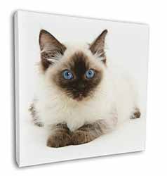 Ragdoll Cat with Blue Eyes Square Canvas 12"x12" Wall Art Picture Print