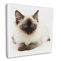 Ragdoll Cat with Blue Eyes Square Canvas 12"x12" Wall Art Picture Print