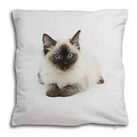 Ragdoll Cat with Blue Eyes Soft White Velvet Feel Scatter Cushion