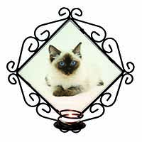 Ragdoll Cat with Blue Eyes Wrought Iron Wall Art Candle Holder