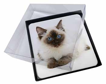 4x Ragdoll Cat with Blue Eyes Picture Table Coasters Set in Gift Box