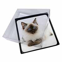 4x Ragdoll Cat with Blue Eyes Picture Table Coasters Set in Gift Box