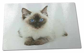 Large Glass Cutting Chopping Board Ragdoll Cat with Blue Eyes