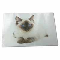 Large Glass Cutting Chopping Board Ragdoll Cat with Blue Eyes