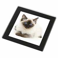 Ragdoll Cat with Blue Eyes Black Rim High Quality Glass Coaster