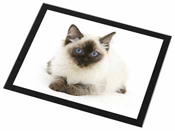 Ragdoll Cat with Blue Eyes Black Rim High Quality Glass Placemat