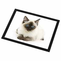 Ragdoll Cat with Blue Eyes Black Rim High Quality Glass Placemat