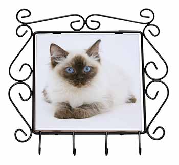 Ragdoll Cat with Blue Eyes Wrought Iron Key Holder Hooks