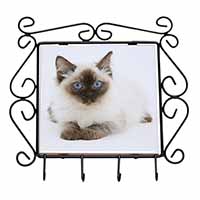 Ragdoll Cat with Blue Eyes Wrought Iron Key Holder Hooks