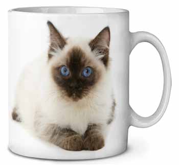 Ragdoll Cat with Blue Eyes Ceramic 10oz Coffee Mug/Tea Cup