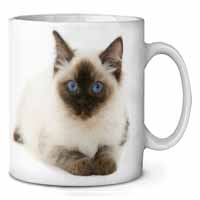 Ragdoll Cat with Blue Eyes Ceramic 10oz Coffee Mug/Tea Cup