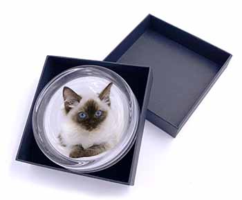 Ragdoll Cat with Blue Eyes Glass Paperweight in Gift Box