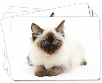 Ragdoll Cat with Blue Eyes Picture Placemats in Gift Box