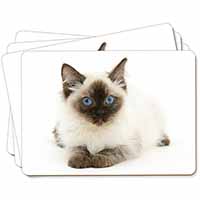 Ragdoll Cat with Blue Eyes Picture Placemats in Gift Box