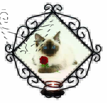 Ragdoll Kitten Cat with Red Rose Wrought Iron Wall Art Candle Holder