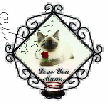 Ragdoll Cat+Rose 