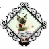 Ragdoll Cat+Rose 