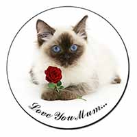 Ragdoll Cat+Rose 